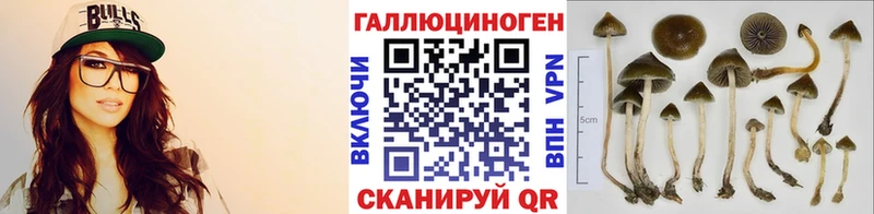 Псилоцибиновые грибы GOLDEN TEACHER  маркетплейс официальный сайт  Черемхово  где купить  